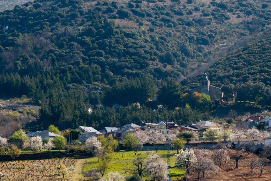 Vista general ruta las 5 Iglesias