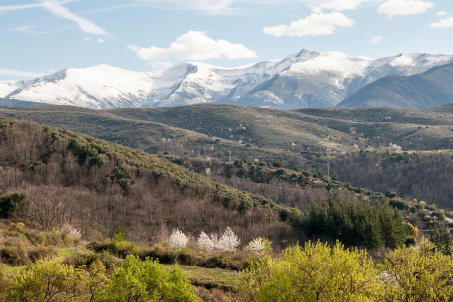 Los Montes Aquilianos nevados