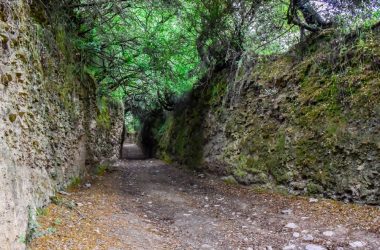 camino-invierno01 Tramo del Camino de Santiago de Invierno