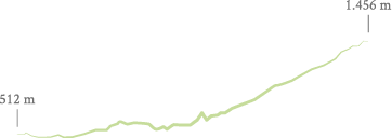 Perfil ruta Campo las Danzas