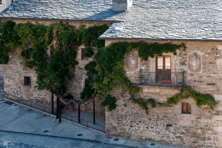 Glicinia en el Museo de la Radio