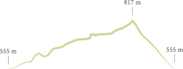 Perfil ruta Monte Pajariel
