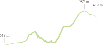 Perfil ruta los Romeros