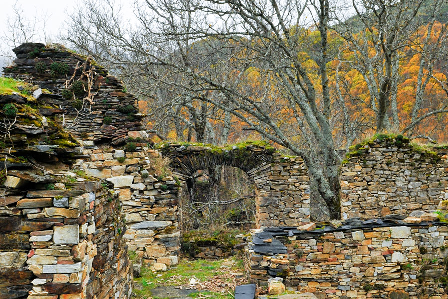 Claustro San Pedro de Montes