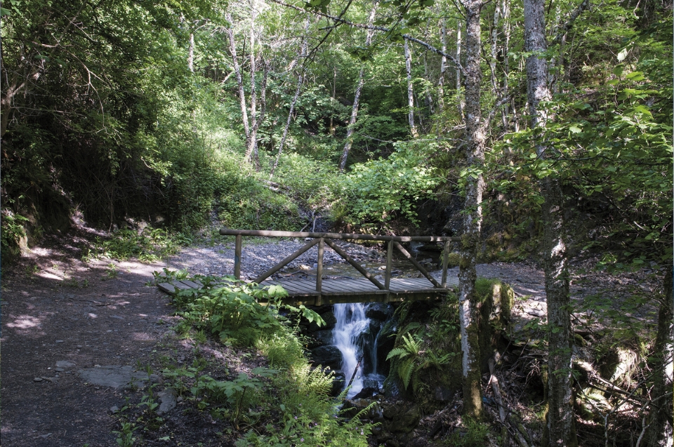 experiencia rica y variada